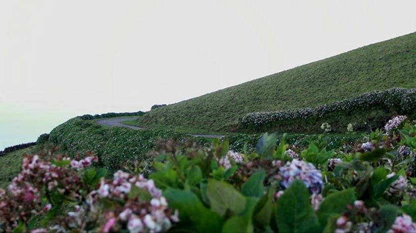 Ilha do Corvo: Foto Kathy Rita