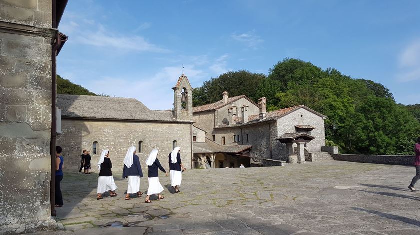 Dia 25: O passo final