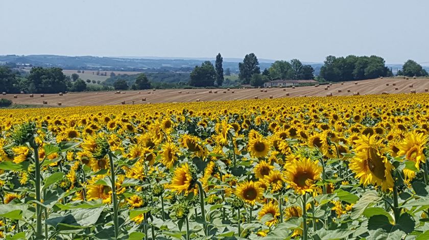 Dia 23: Rimini, Bolonha, Arles e Spoleto