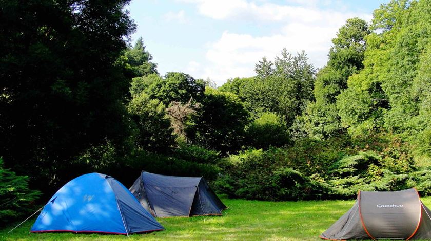 12 MAIO A Caminho de Fátima - Campismo e circulação automóvel- 12/05/2017