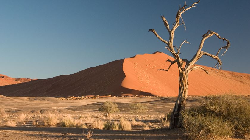 Deserto da Namibia - Foto Luca Galuzzi Wikipedia