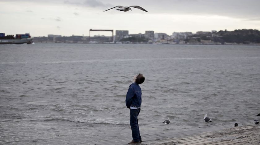 Poluição no Tejo. Protejo