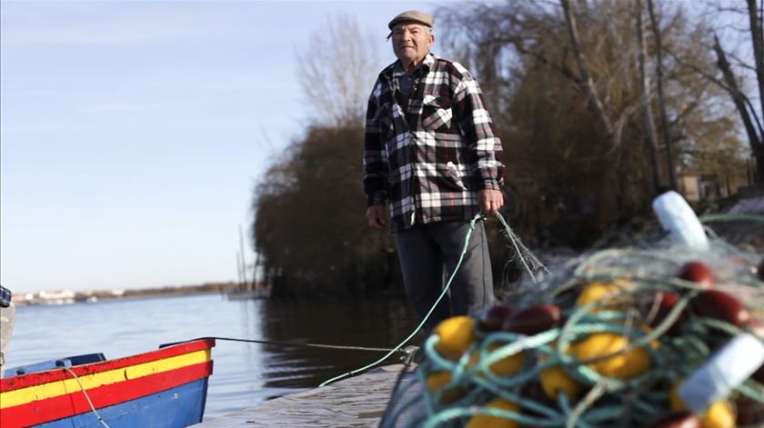 Poluição no Tejo. Escaroupim