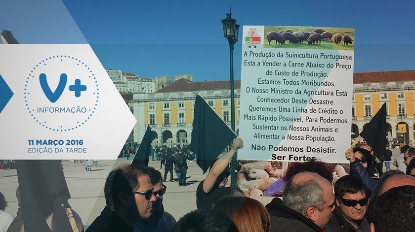 Suinicultores em protesto “invadem” Lisboa com mais de 300 camiões