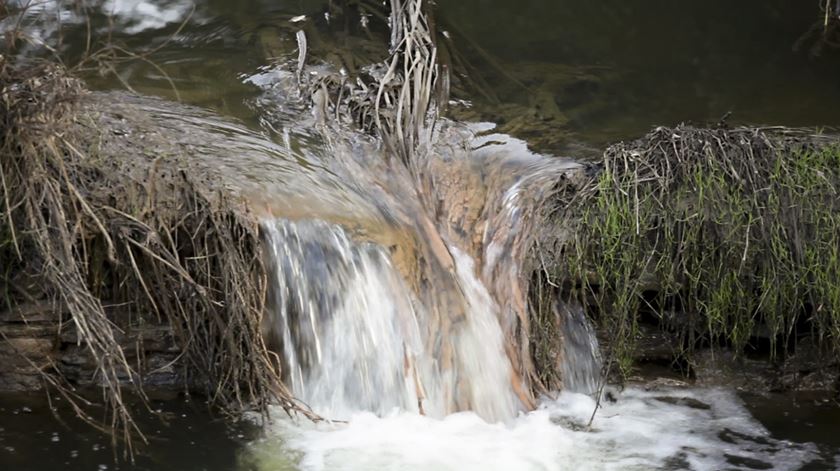 Poluição no Tejo. Vila Velha de Rodão