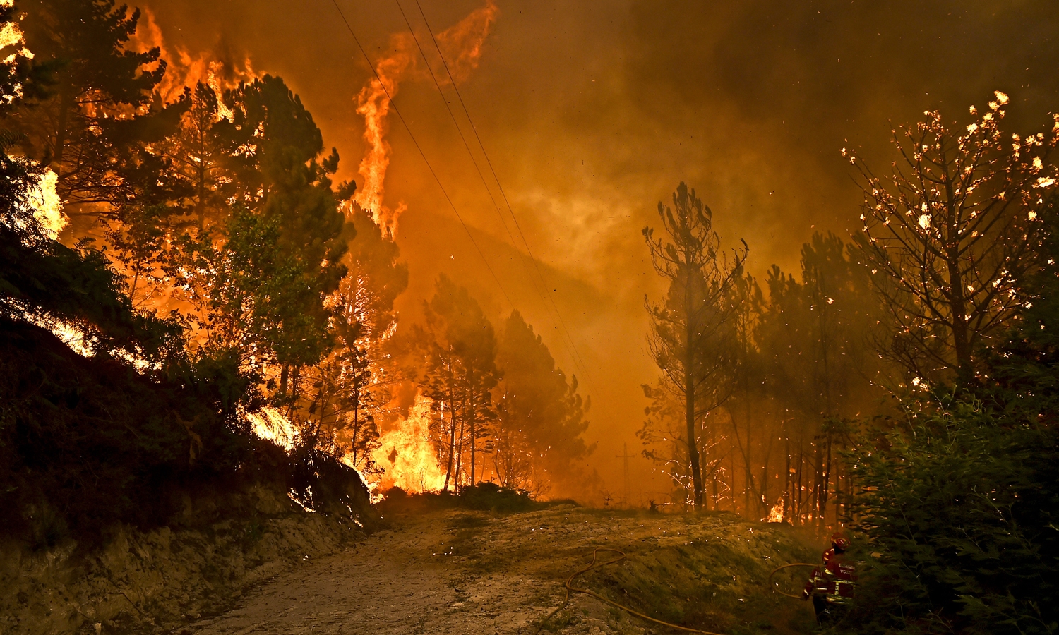 Resultado de imagem para portugal em chamas 2019
