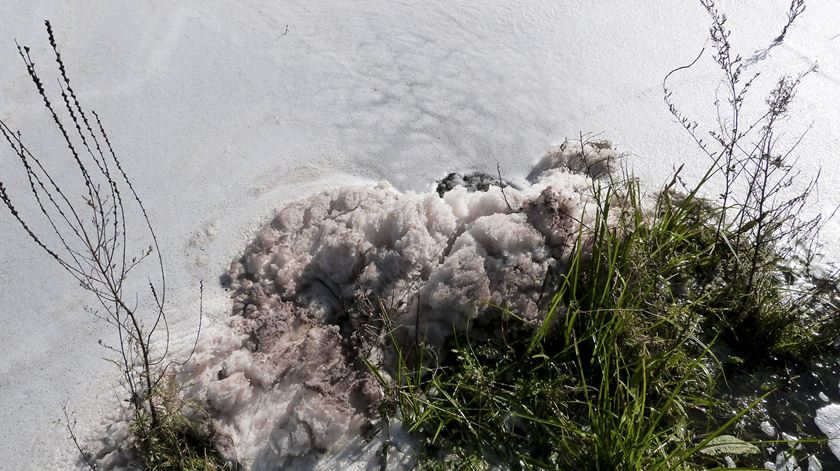 Poluição no Tejo. Imagens de Arlindo Marques