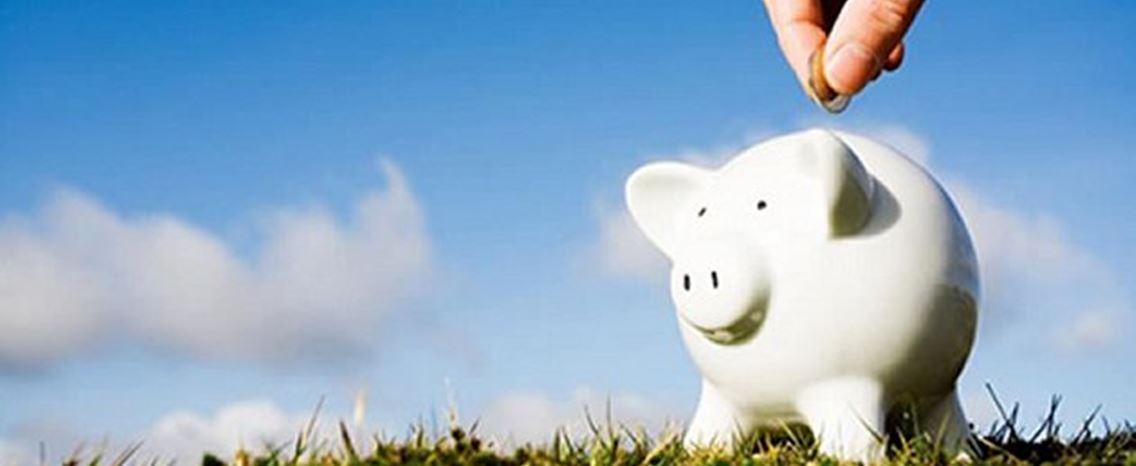 porco, poupar, poupança