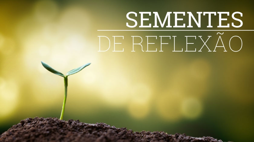 Sementes - 09/11/2018