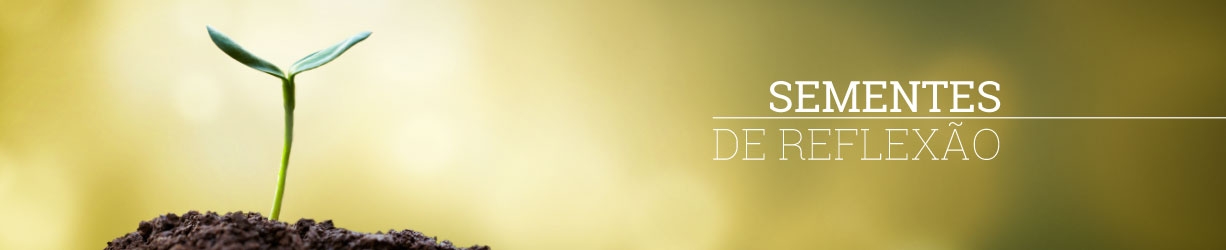 Sementes de Reflexão
