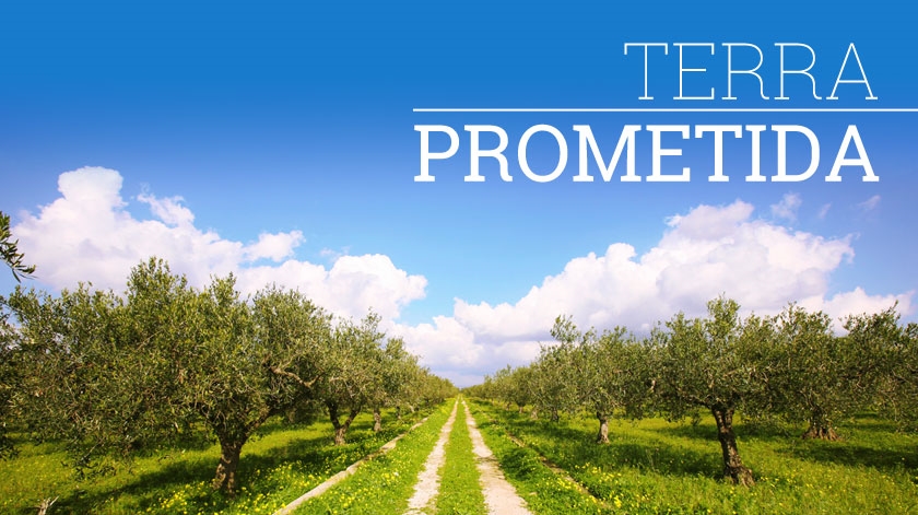TERRA PROMETIDA 15102016