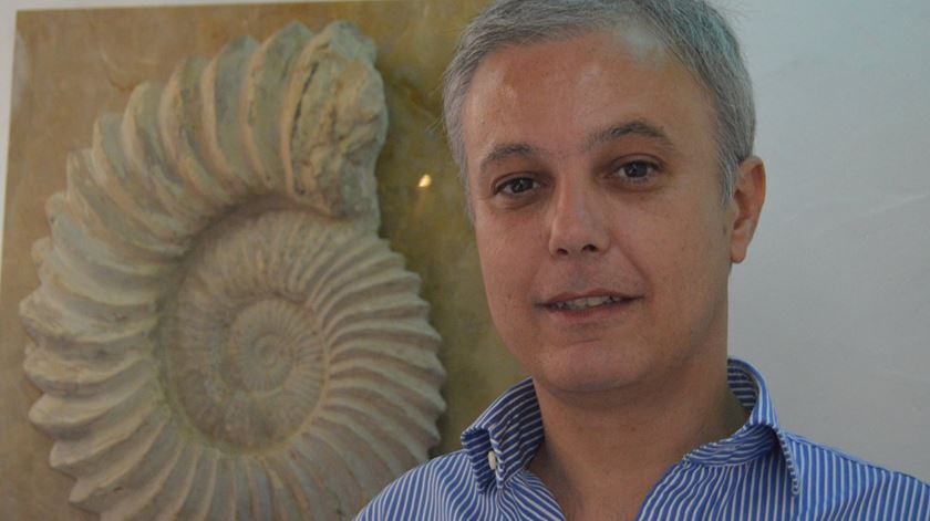 Tiago Moreira de Sá sublinha que existe "uma profunda transformação da natureza da NATO tal como ela é vista pelos Estados Unidos". Foto: DR