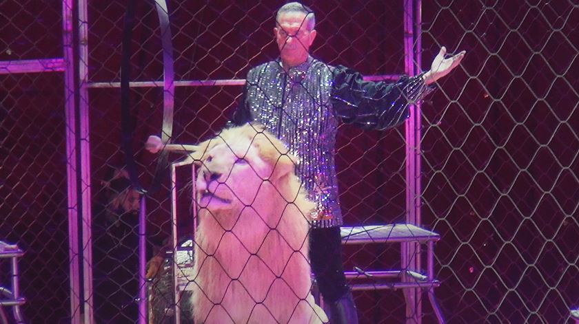 A Renascença foi ao Circo Victor Hugo Cardinali